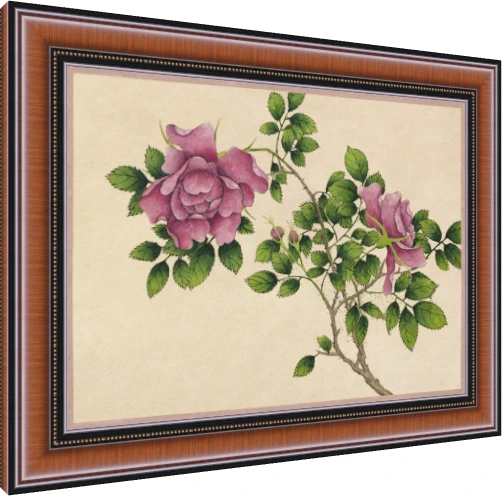 Detailed botanical illustration of pink wild roses with green leaves on warm beige parchment background. — photo frame preview | PrintPosters.in