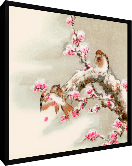 Japanese style painting of two small birds resting on a snowy tree branch filled with vibrant pink plum blossoms. — floater frame preview | PrintPosters.in
