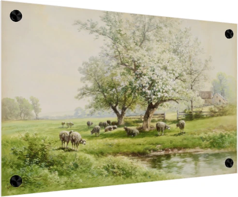Pastoral watercolor painting of sheep grazing in a green spring meadow beside a stream and blossoming white tree. — acrylic preview | PrintPosters.in