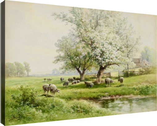 Pastoral watercolor painting of sheep grazing in a green spring meadow beside a stream and blossoming white tree. | PrintPosters.in