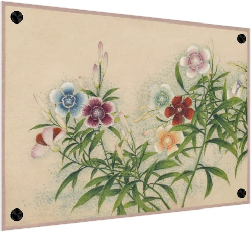Vintage botanical watercolor painting of Dianthus flowers in soft blue, red, peach, and pink on beige paper. — acrylic preview | PrintPosters.in