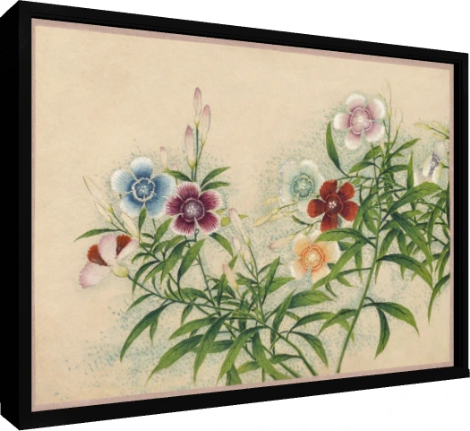 Vintage botanical watercolor painting of Dianthus flowers in soft blue, red, peach, and pink on beige paper. — floater frame preview | PrintPosters.in