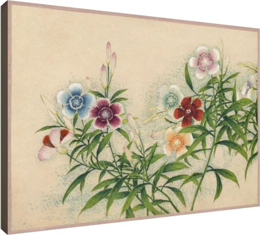 Vintage botanical watercolor painting of Dianthus flowers in soft blue, red, peach, and pink on beige paper. | PrintPosters.in
