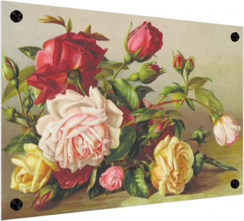 Vintage botanical illustration featuring a cluster of red, pink, and yellow roses with green leaves. — acrylic preview | PrintPosters.in