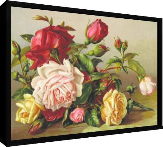 Vintage botanical illustration featuring a cluster of red, pink, and yellow roses with green leaves. — floater frame preview | PrintPosters.in