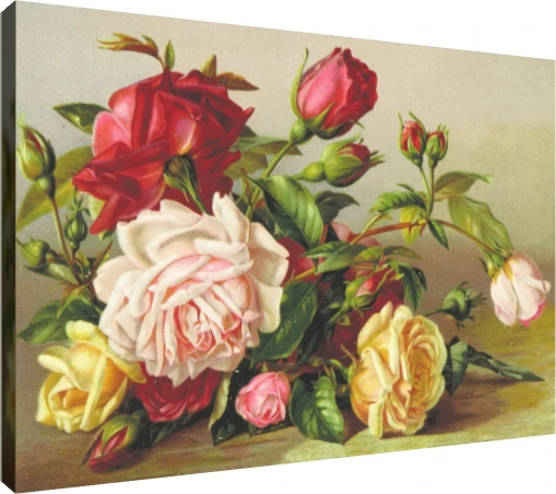 Vintage botanical illustration featuring a cluster of red, pink, and yellow roses with green leaves. | PrintPosters.in
