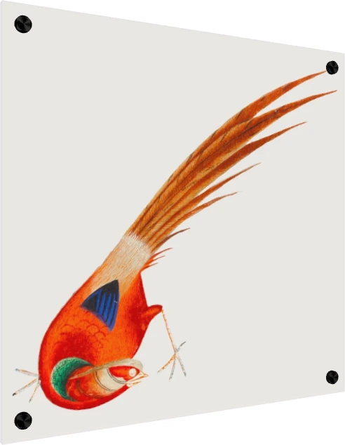 Traditional Asian Red Bird Painting Canvas wall art print — acrylic preview | PrintPosters.in