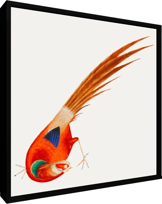 Traditional Asian Red Bird Painting Canvas wall art print — floater frame preview | PrintPosters.in