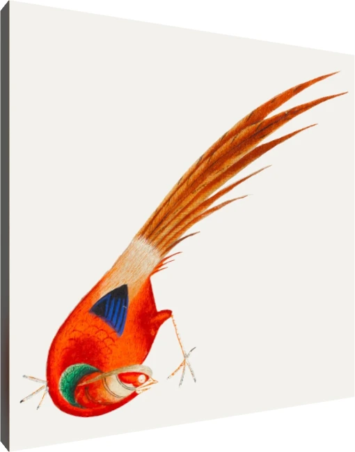 Traditional Asian Red Bird Painting Canvas wall art print | PrintPosters.in