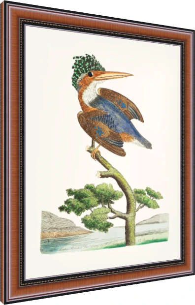 Crested Kingfisher Vintage Illustration Canvas wall art print — photo frame preview | PrintPosters.in