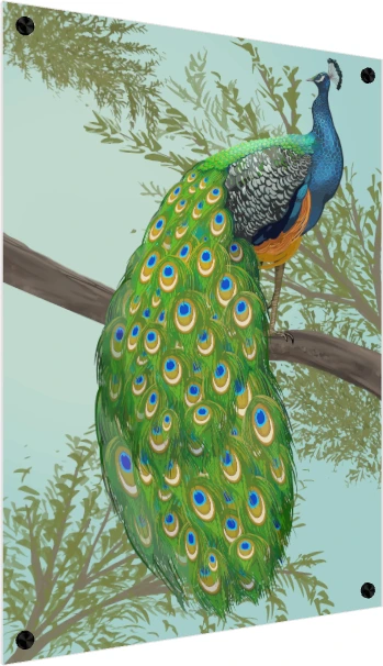 Elegant Hand-Drawn Peacock Canvas Print wall art print — acrylic preview | PrintPosters.in