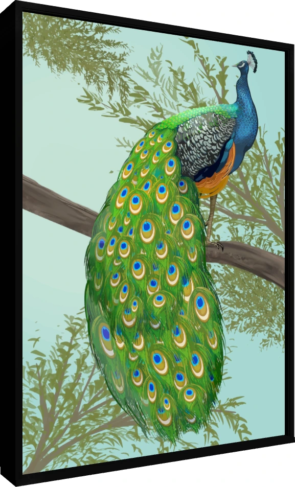 Elegant Hand-Drawn Peacock Canvas Print wall art print — floater frame preview | PrintPosters.in
