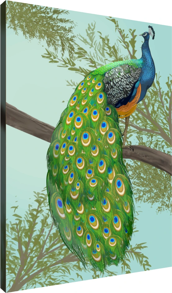 Elegant Hand-Drawn Peacock Canvas Print wall art print | PrintPosters.in