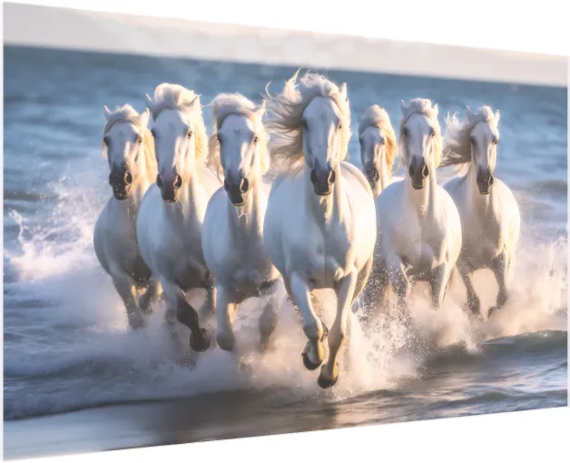 Horses Running on Beach at Sunset — acrylic preview | PrintPosters.in