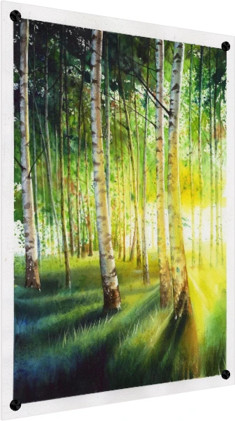 A vertical watercolor painting of slender white birch trunks in a forest illuminated by warm golden rays of sunlight. — acrylic preview | PrintPosters.in