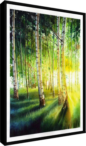 A vertical watercolor painting of slender white birch trunks in a forest illuminated by warm golden rays of sunlight. — floater frame preview | PrintPosters.in