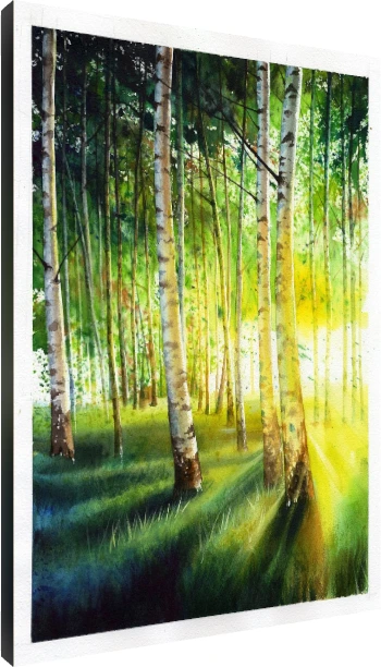 A vertical watercolor painting of slender white birch trunks in a forest illuminated by warm golden rays of sunlight. | PrintPosters.in