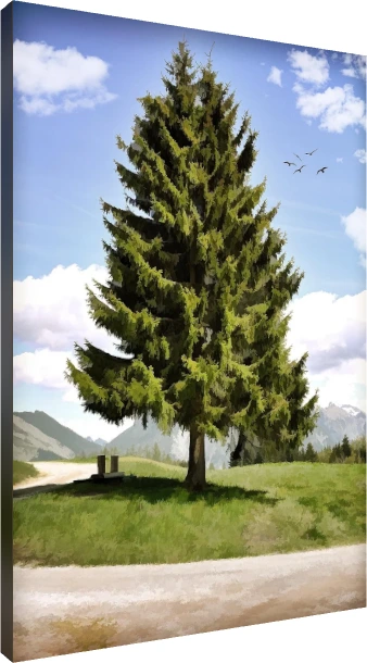 Solitary Pine Tree Mountain Meadow | PrintPosters.in